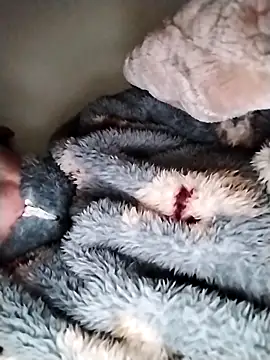 nayakaA7 online show from March 2026 09:26:01 AM