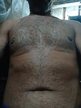 Sergipano fogozinho online show from July 2026 01:09:02 AM