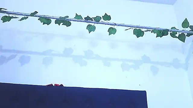 AliciaBasch online show from January 2025 02:01:01 AM