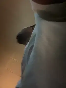 Snapshot of cocopuff242 chatting on October 2025 08:42:02 PM cocopuff242 online show from October 2025 08:42:02 PM