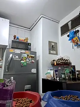 Hot sophie  online show from February 2025 02:51:01 AM