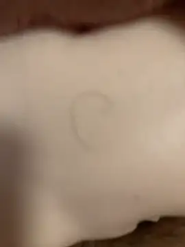 Snapshot of Beijing2000 chatting on November 2025 12:55:02 AM Beijing2000 online show from November 2025 12:55:02 AM