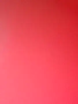 zhenzhen521 online show from February 2026 02:48:02 PM