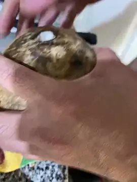 Snapshot of FlorBich chatting on December 2024 11:08:01 PM FlorBich online show from December 2024 11:08:01 PM