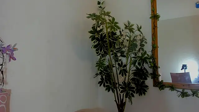 FaloonRoussel online show from June 2026 06:27:01 PM