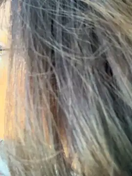 Snapshot of miacanela_xo chatting on October 2025 10:08:01 PM miacanela xo online show from October 2025 10:08:01 PM