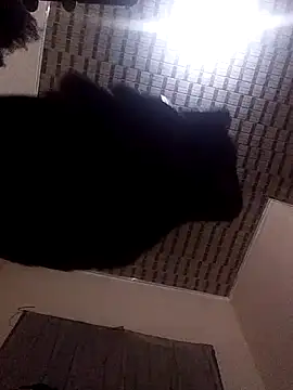 Blackpenis28 online show from May 2026 01:54:02 AM