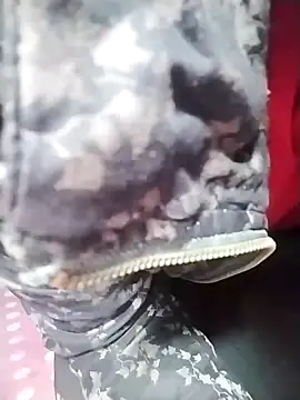 Dangky1 online show from February 2025 04:25:01 AM