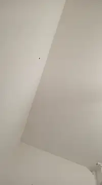 Anitabambola online show from March 2025 11:27:01 PM