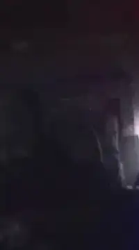 WilldoPita online show from January 2025 06:22:01 AM