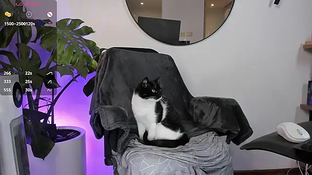 ariana fitl  online show from January 2025 03:47:01 AM