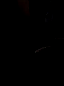 ySqmbVanbe online show from March 2026 08:43:01 AM