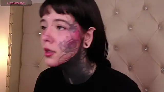 SylveonFox online show from December 2024 08:52:01 AM