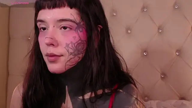 SylveonFox online show from December 2024 01:17:02 PM