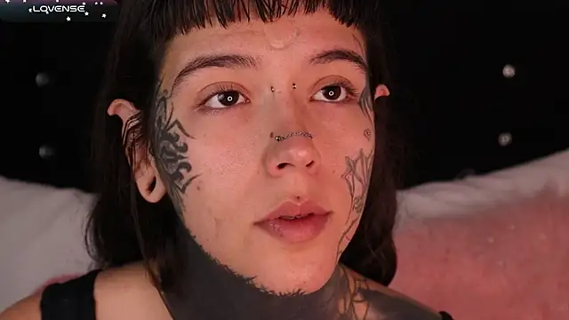 SylveonFox online show from February 2025 11:54:01 AM