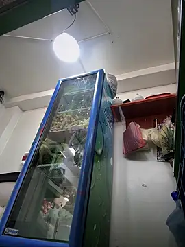 Sol biglips online show from January 2025 02:14:01 PM