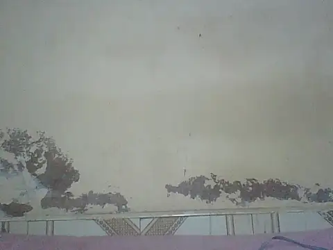 Snapshot of Naivegirrl chatting on August 2026 04:17:02 PM Naivegirrl online show from August 2026 04:17:02 PM