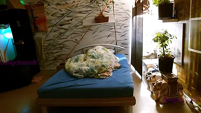 Snapshot of BongChannel chatting on January 2025 02:57:01 PM BongChannel online show from January 2025 02:57:01 PM