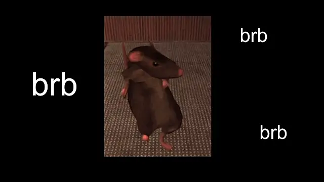 Sam Mystery online show from February 2025 11:06:02 AM