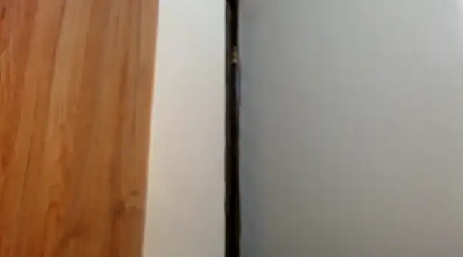 wetpussy ebony online show from February 2025 06:19:01 AM