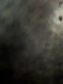 casalinga88 online show from March 2025 12:56:02 PM