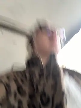 casalinga88 online show from October 2025 11:11:02 AM