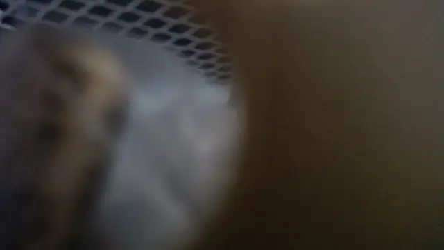 Snapshot of lovense_test04 chatting on January 2026 10:30:01 AM lovense test04 online show from January 2026 10:30:01 AM