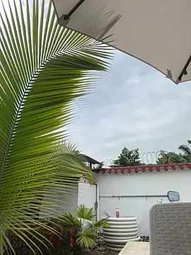 Ema azel online show from February 2025 02:00:01 PM