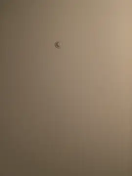 BIGWHITECOCKDOC36 online show from March 2025 01:39:01 PM