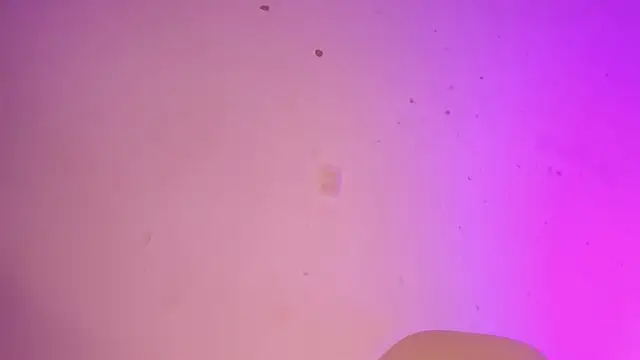 Snapshot of Tahira_21_ chatting on January 2025 10:37:01 PM Tahira 21 online show from January 2025 10:37:01 PM