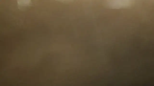 Snapshot of Alphapimmelchen chatting on February 2025 03:54:01 PM Alphapimmelchen online show from February 2025 03:54:01 PM