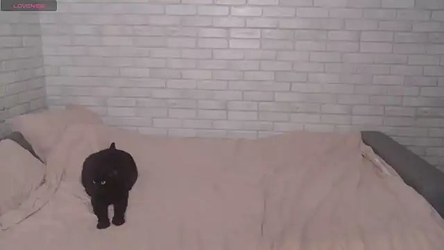 Snapshot of Fuckyoursecretary69 chatting on December 2024 12:19:02 PM Fuckyoursecretary69 online show from December 2024 12:19:02 PM