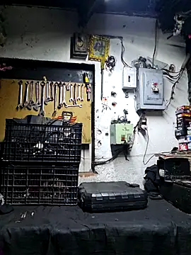 pene latinoriico online show from October 2025 05:19:02 AM