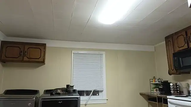 sexylilly69 online show from October 2025 02:00:02 AM