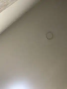 Snapshot of Zarah_Blare chatting on January 2025 11:27:01 PM Zarah Blare online show from January 2025 11:27:01 PM