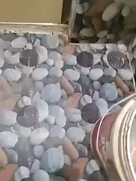 telugumoddahyd online show from January 2025 06:38:02 AM