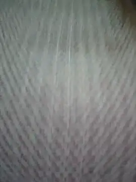 zizi public online show from March 2025 01:59:01 AM