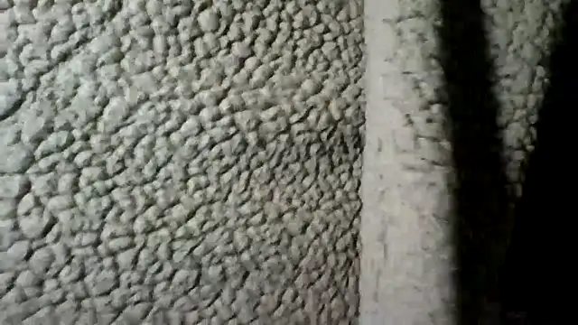 Snapshot of Daszler chatting on December 2024 10:45:01 PM Daszler online show from December 2024 10:45:01 PM