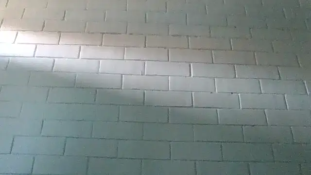 GiveLove1 online show from February 2025 09:36:02 PM