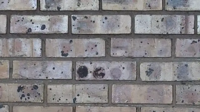 Astoria Moon online show from February 2025 01:01:01 PM