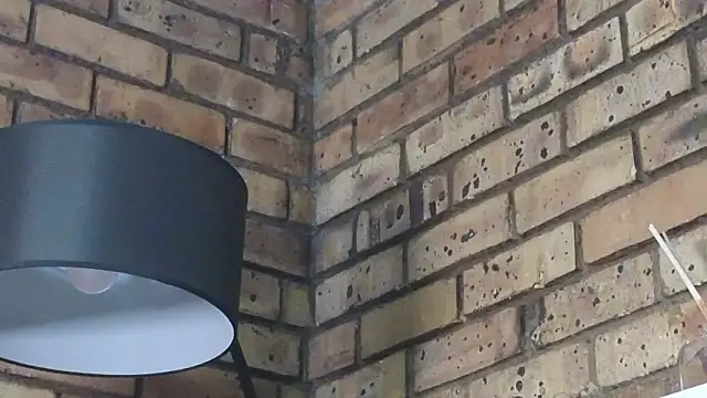 Astoria Moon online show from January 2026 12:22:02 PM