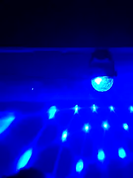 Snapshot of AmazonianMistress chatting on February 2025 03:59:01 PM AmazonianMistress online show from February 2025 03:59:01 PM