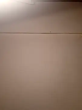 Snapshot of AmazonianMistress chatting on September 2025 01:57:02 PM AmazonianMistress online show from September 2025 01:57:02 PM