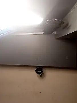 Snapshot of AmazonianMistress chatting on December 2025 02:44:01 PM AmazonianMistress online show from December 2025 02:44:01 PM