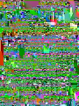 Graysontaylorxh online show from May 2026 02:50:02 AM
