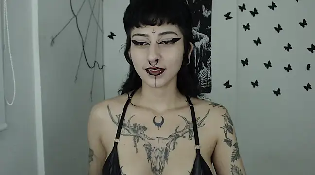 Snapshot of n0sferatus__ chatting on February 2025 01:47:02 AM n0sferatus online show from February 2025 01:47:02 AM