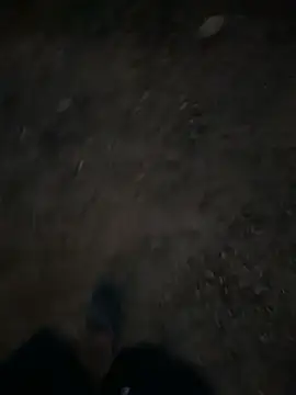 Black-mamba-madingo online show from September 2025 12:27:01 AM