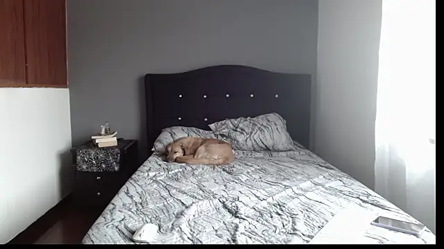 Snapshot of Emilia_1995 chatting on January 2025 07:18:02 PM Emilia 1995 online show from January 2025 07:18:02 PM