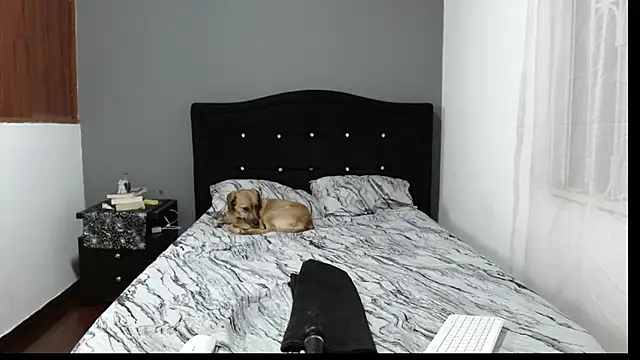 Snapshot of Emilia_1995 chatting on January 2025 02:11:01 AM Emilia 1995 online show from January 2025 02:11:01 AM