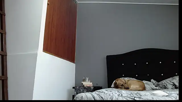 Snapshot of Emilia_1995 chatting on January 2025 10:41:01 PM Emilia 1995 online show from January 2025 10:41:01 PM